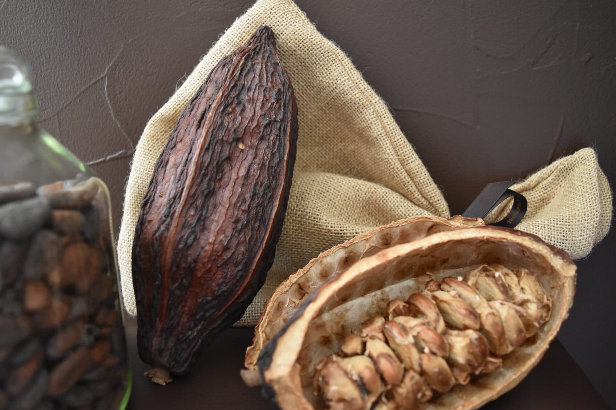 Deux cabosses de cacao, dont une ouverte sur ses fèves, posées sur une toile de jute