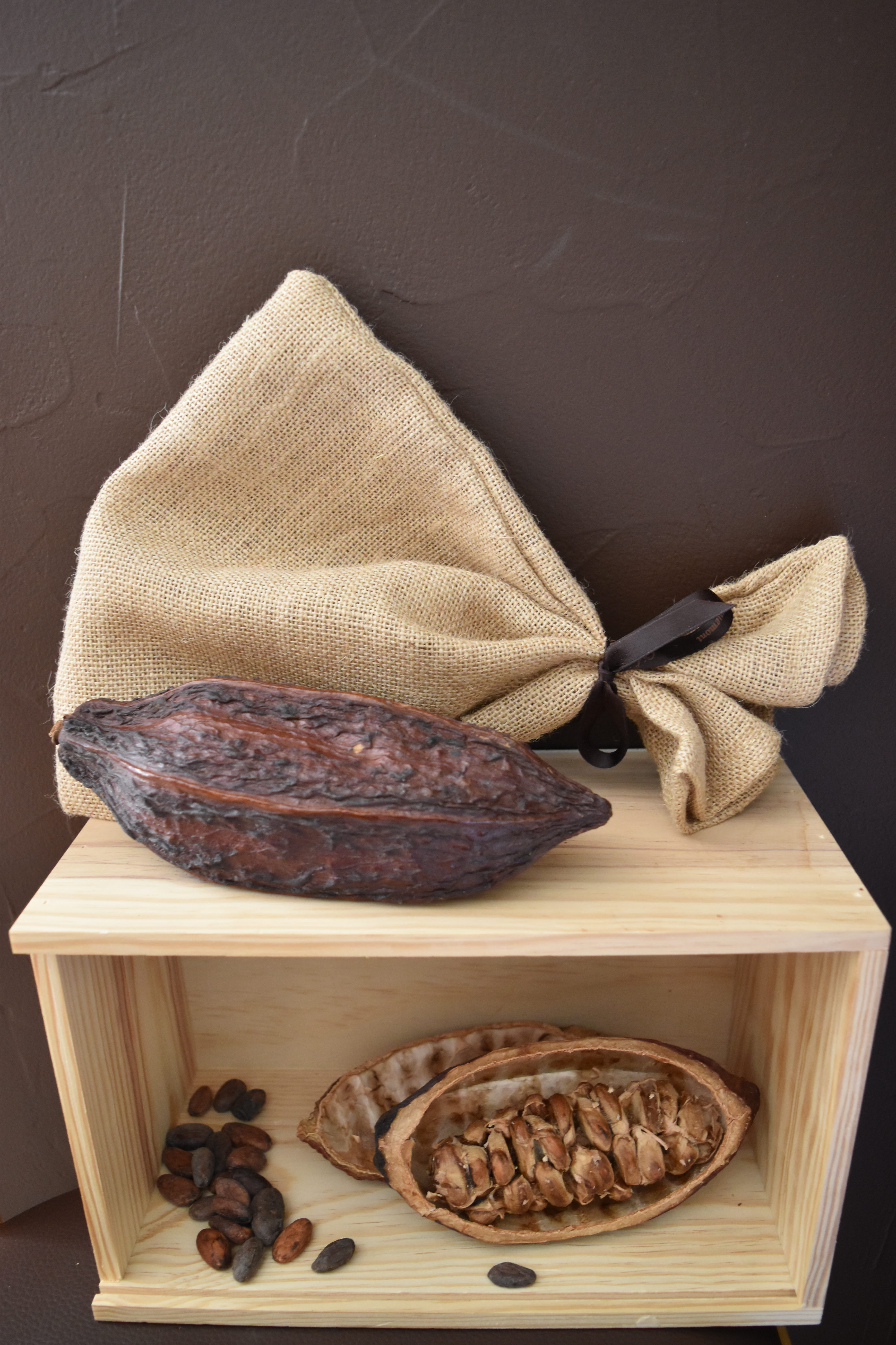 Cabosses de cacao sur étagère