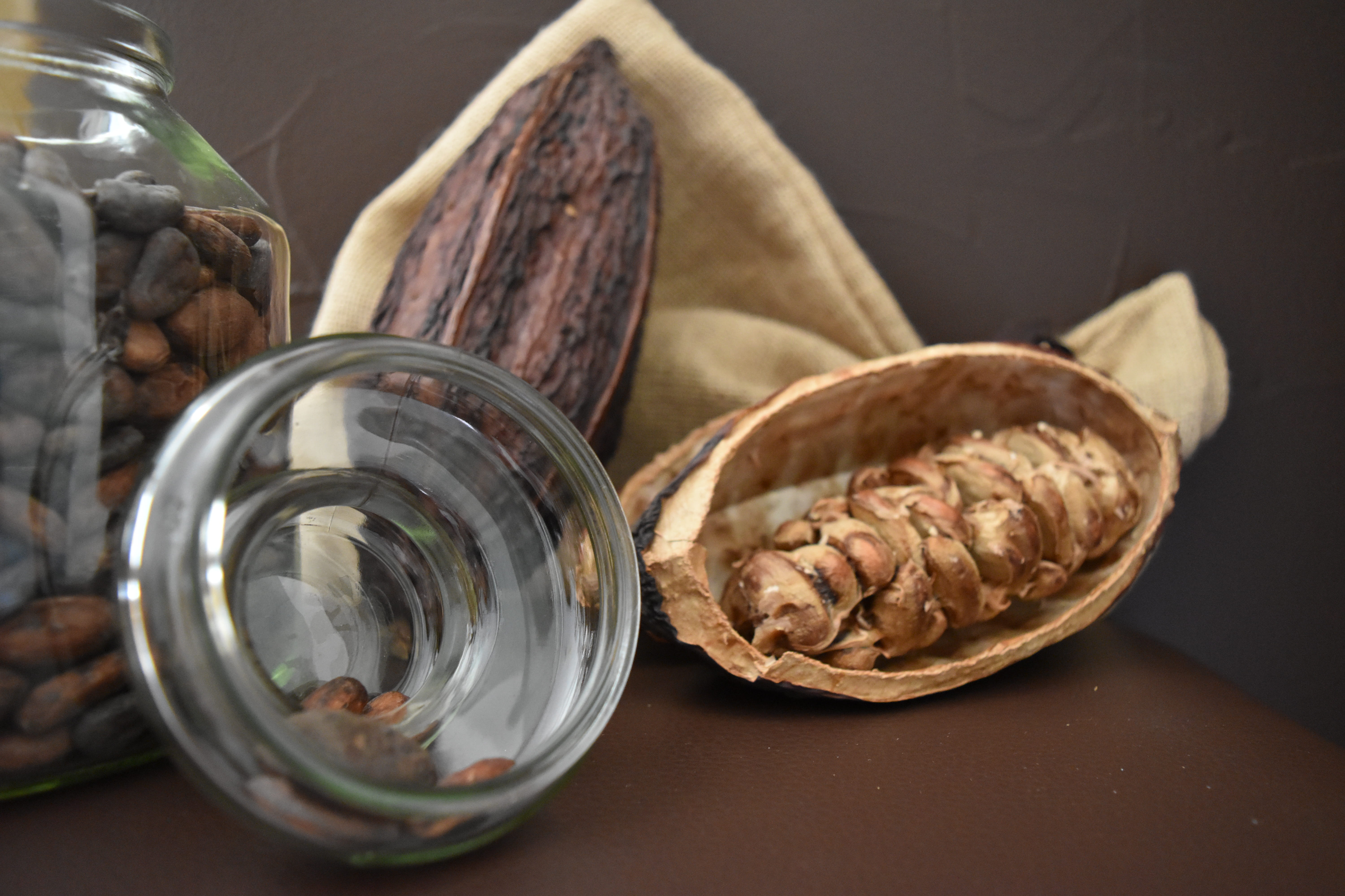 Demi-cabosse de cacao