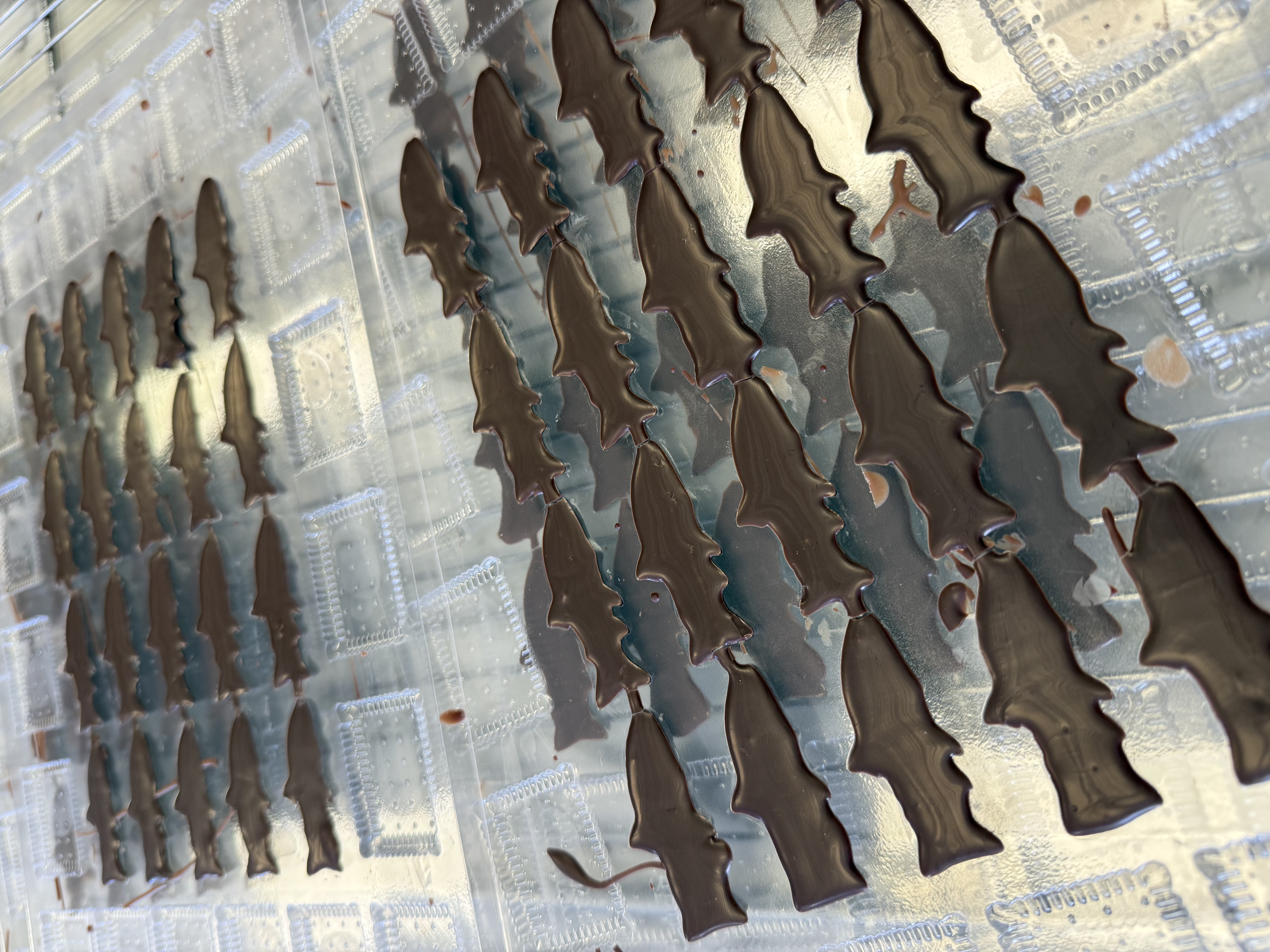Poissons en chocolat noir dans leur moule, prêts à être démoulés